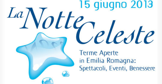 LA NOTTE CELESTE 2013
