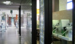 1234098_736552113038701_1354720342_n