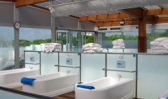 1379921_736552069705372_866631169_n