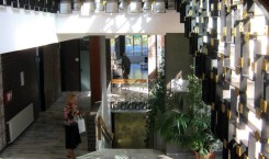 1383291_736552016372044_794950600_n