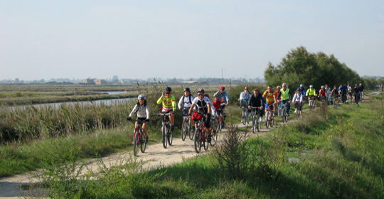 DigiBike® – Le “Regole d’oro”