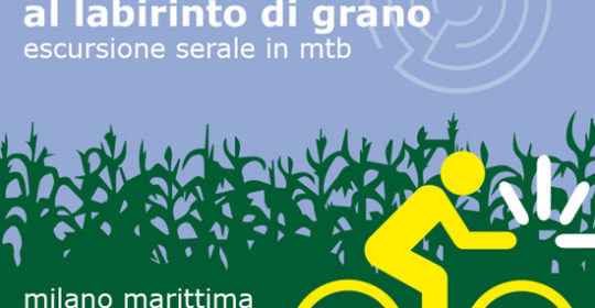 In bici nel labirinto di grano