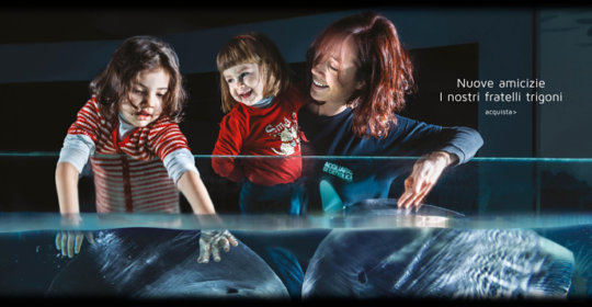 Se li porti alle Terme, i bambini entrano gratis agli Acquari di Cattolica e di Genova